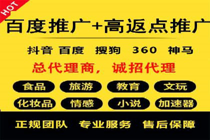 信息流广告投放公司案例深度剖析